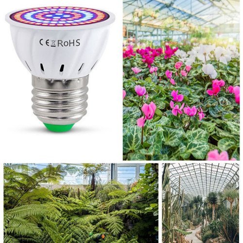 novenynevelo-led-lampa-ego-e27-spot-8w-piroskek-feny-ledissimo-grow-1-500×500