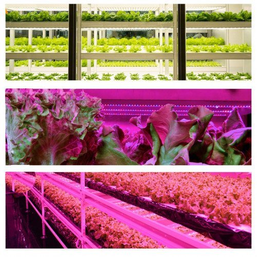 novenynevelo-led-modul-4w-42-led-30-cm-usb-veggel-piroskek-feny-idozitheto-dimmelheto-ledissimo-grow-1-500×500