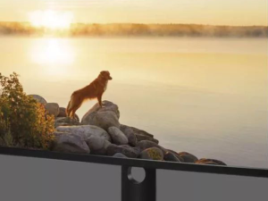 Led Monitor Lámpa